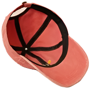 Cactus Embroidery Baseball Cap