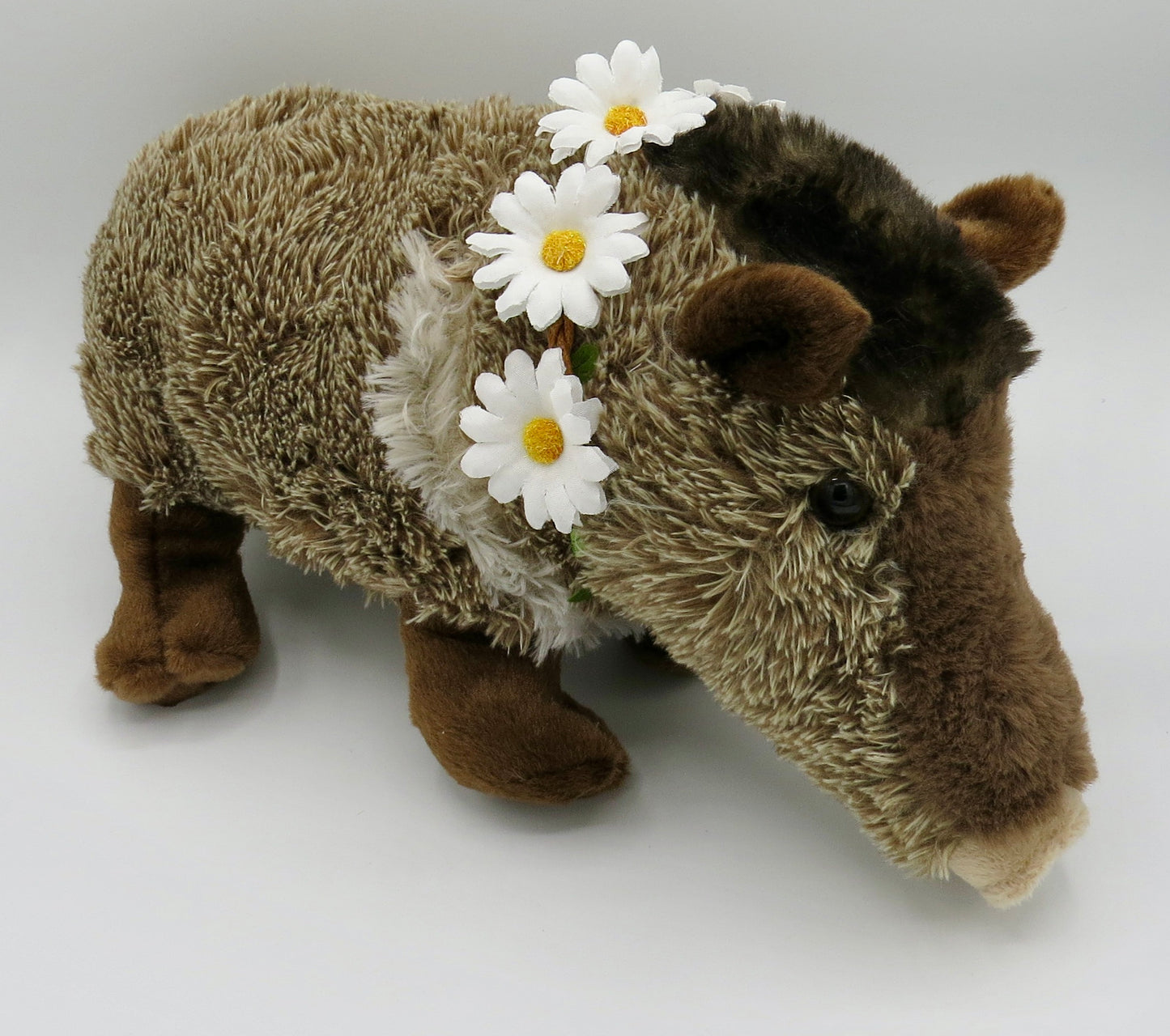 Wild One Javelina. "Harriet"