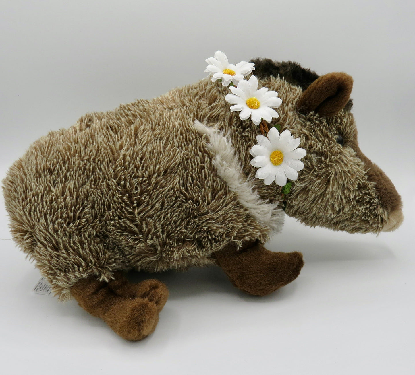 Wild One Javelina. "Harriet"