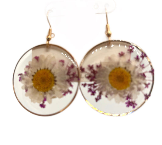 Round Pressed Daisy Flower Earrings