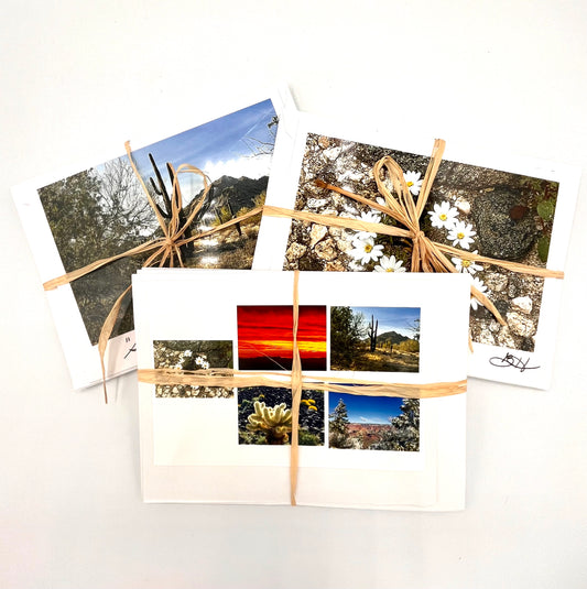 5 Assorted Arizona Photo Cards with Envelopes