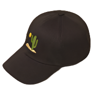 Cactus Embroidery Baseball Cap